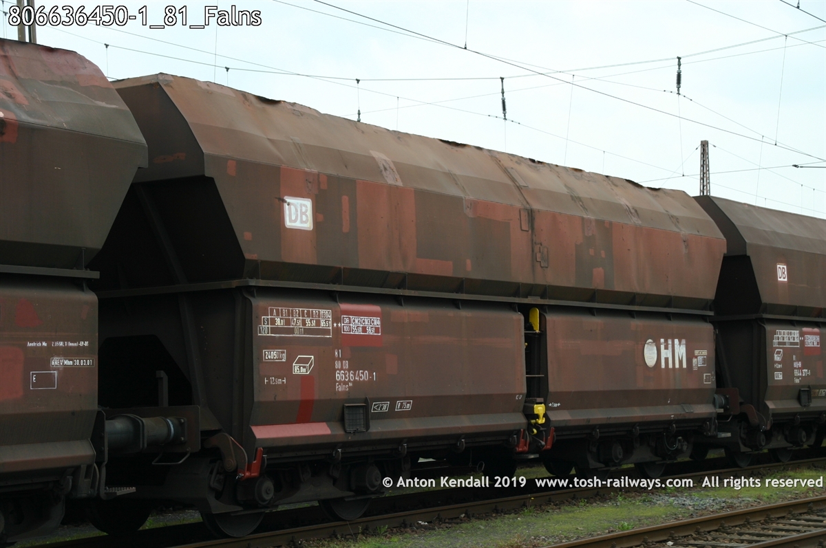 806636450-1_81_Falns.jpg